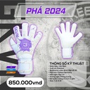 Gang_Tay_Thu_Mon_GKVN_-_PHA_Tim