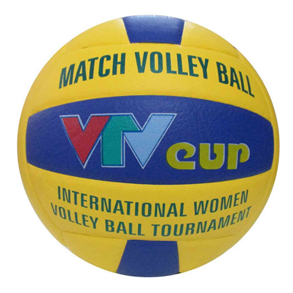 Bong_chuyen_Geru_VTV_Cup