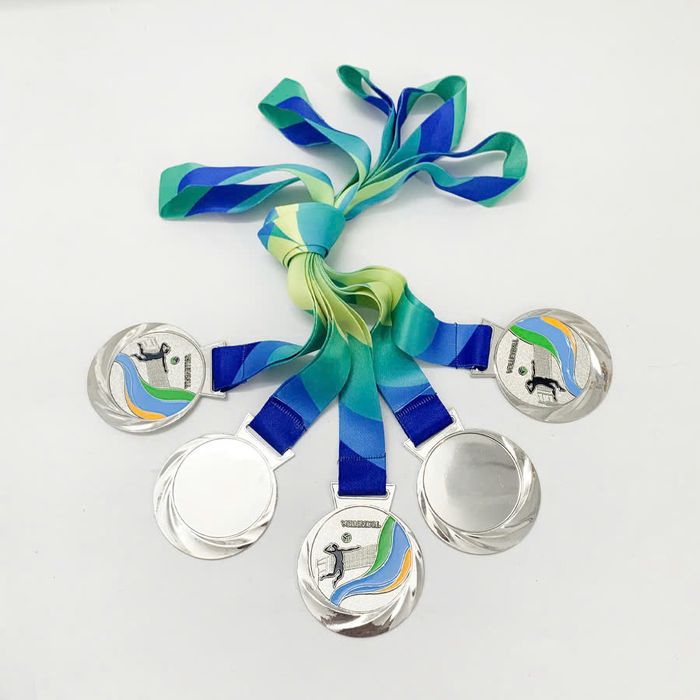 Huy_chuong_Bong_chuyen_iWin_Bac