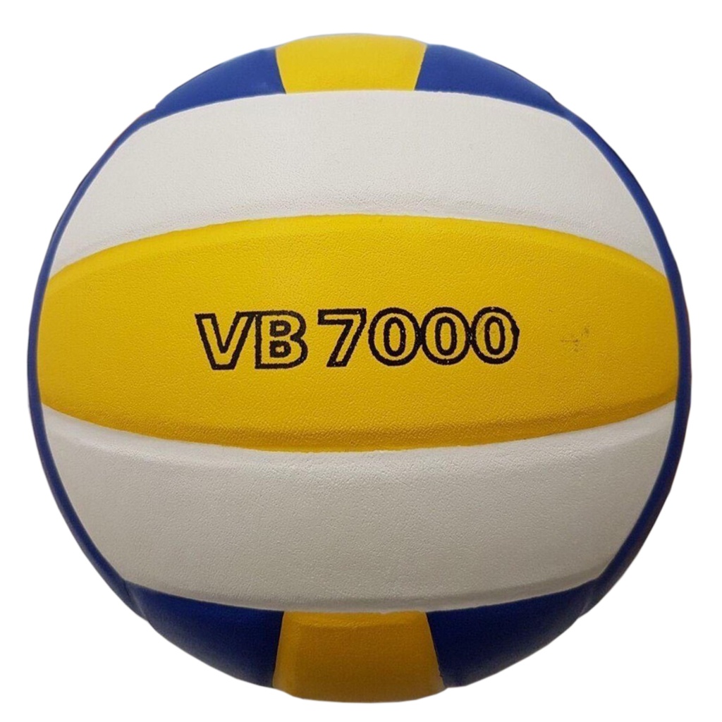 Bong_chuyen_Thang_Long_VB7000