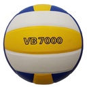 Bong_chuyen_Thang_Long_VB7000
