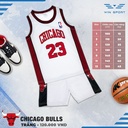 QA_bong_ro_tre_em_WIN_Chicago_Trang