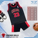 QA_bong_ro_tre_em_WIN_Chicago_Den