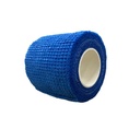 Bang_Quan_Vai_Xanh_Bich