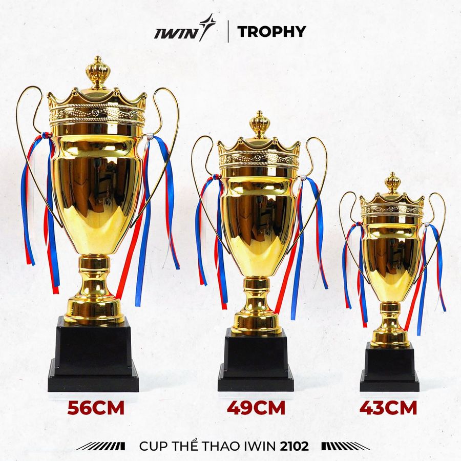 Cup_the_thao_iWin_2102_(A)_-_56cm_Vang