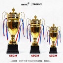 Cup_the_thao_iWin_2102_(C)_-_43cm_Vang