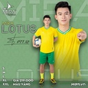 Quan_ao_Mira_Lotus_Vang