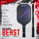 Vot_Pickleball_Kaiwin_Beast_T300_Den