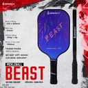 Vot_Pickleball_Kaiwin_Beast_T300_Xanh_Bich