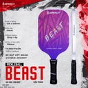Vot_Pickleball_Kaiwin_Beast_T300_Tim