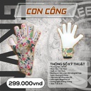 Gang_Tay_Thu_Mon_GKVN_CONG_Trang_Hong