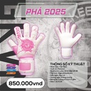 Gang_Tay_Thu_Mon_GKVN_-_PHA_Hong