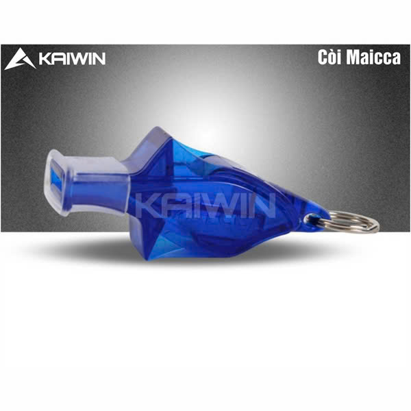 Coi_Kaiwin_Maica_Xanh_Bich