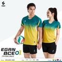 QA_Bong_chuyen_Egan_BCE01_NU_Vang