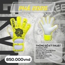 Gang_Tay_Thu_Mon_GKVN_-_PHA_Vang_Chanh