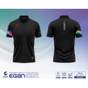 Ao_Polo_Egan_Air_Den