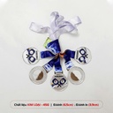 Huy_chuong_pickleball_04_Bac