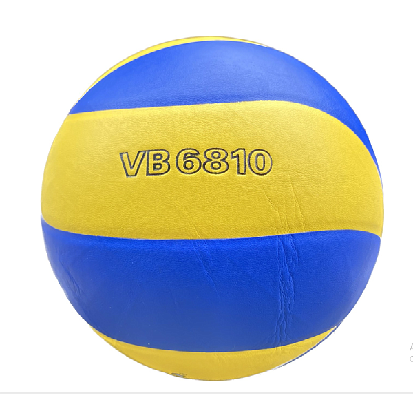 Bóng chuyền Thăng Long VB6810