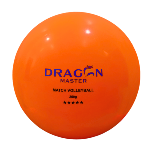 Bóng chuyền hơi DGA250