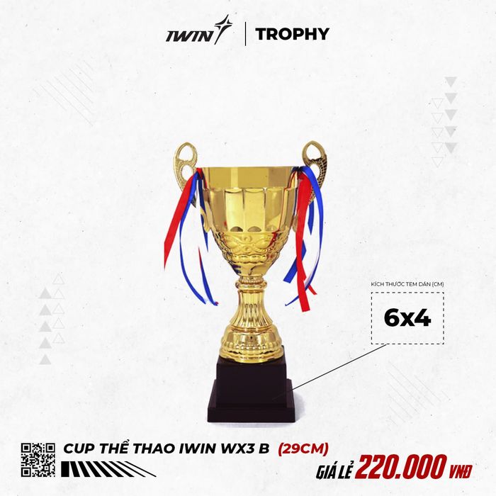 Cúp Thể Thao iWin C4 (B) - 31cm