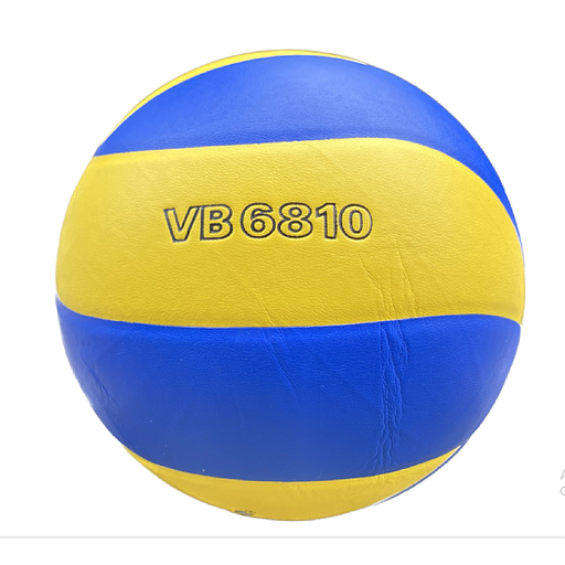 [SP001032] Bóng chuyền Thăng Long VB6810
