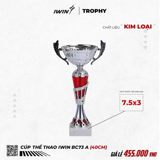[SP003582] Cúp Thể Thao iWin BC73A - 40cm