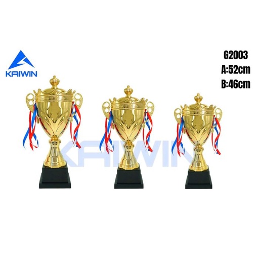[SP003070] Cúp Kaiwin G2003A (52cm)